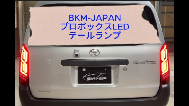 Amazon | 【BKM iiP】 Attirantシリーズ プロボックス 50 160系用フル